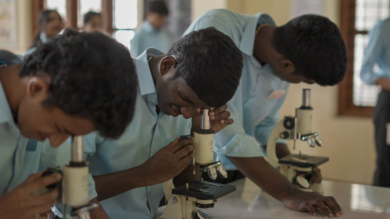 Senior students examining specimen slides under microscopes on a science lab bench