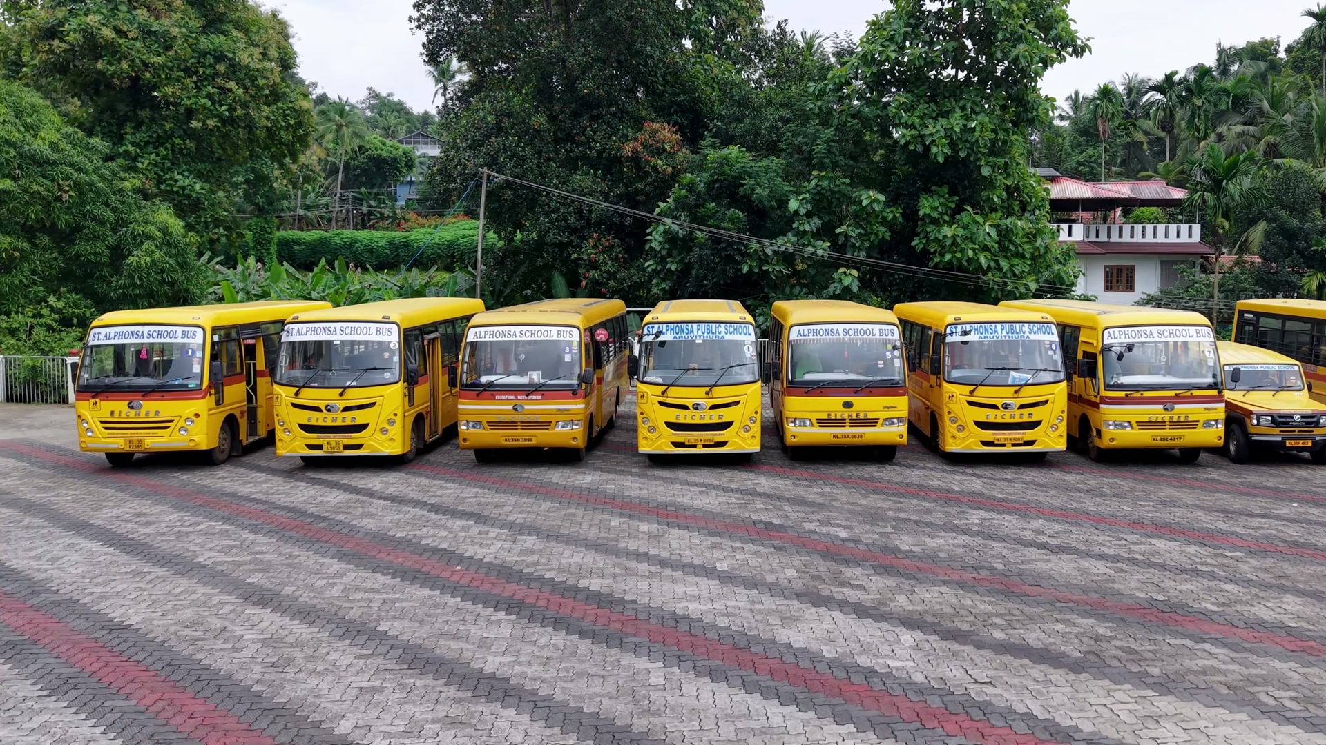 The school's yellow buses parked in an arc on the paved courtyard, framed by green trees
