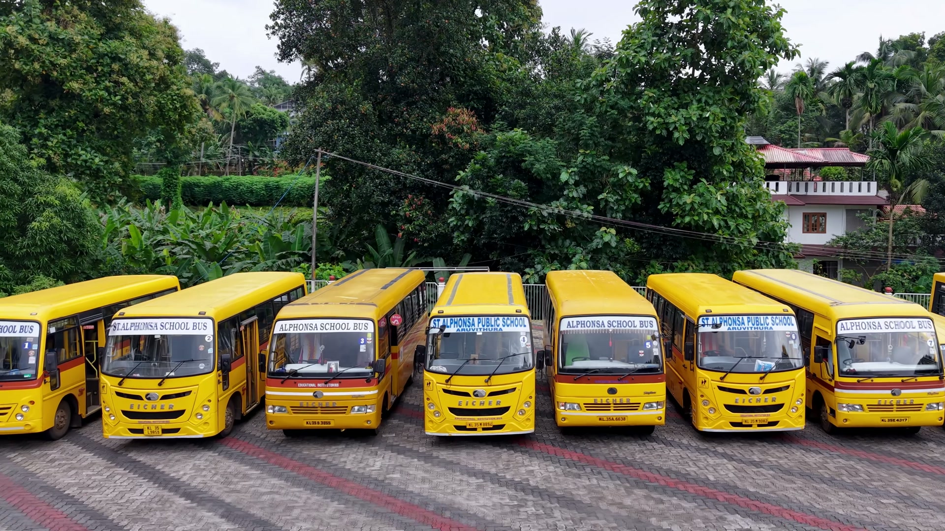 Seven yellow school buses parked in a row on the paved courtyard, with green trees behind